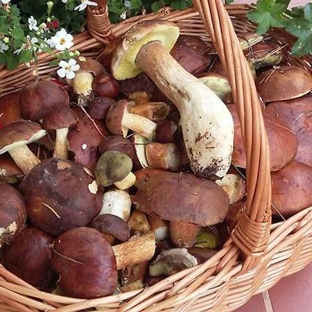 Agroturystyka Rebowo Klodawa  Екстериор снимка