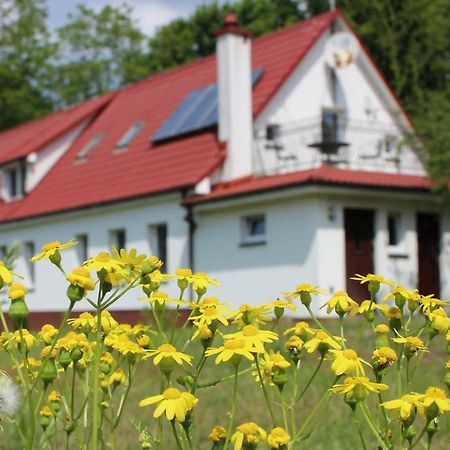 Agroturystyka Rebowo Klodawa  Екстериор снимка